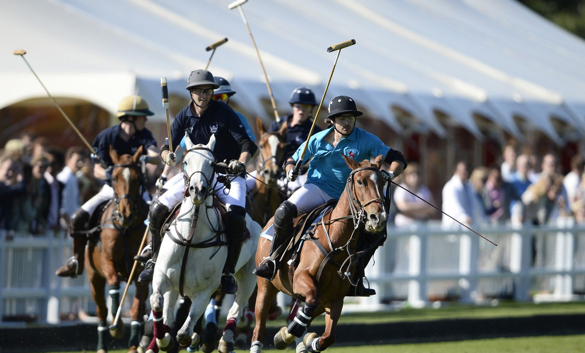 Polo. From sports to clothing culture