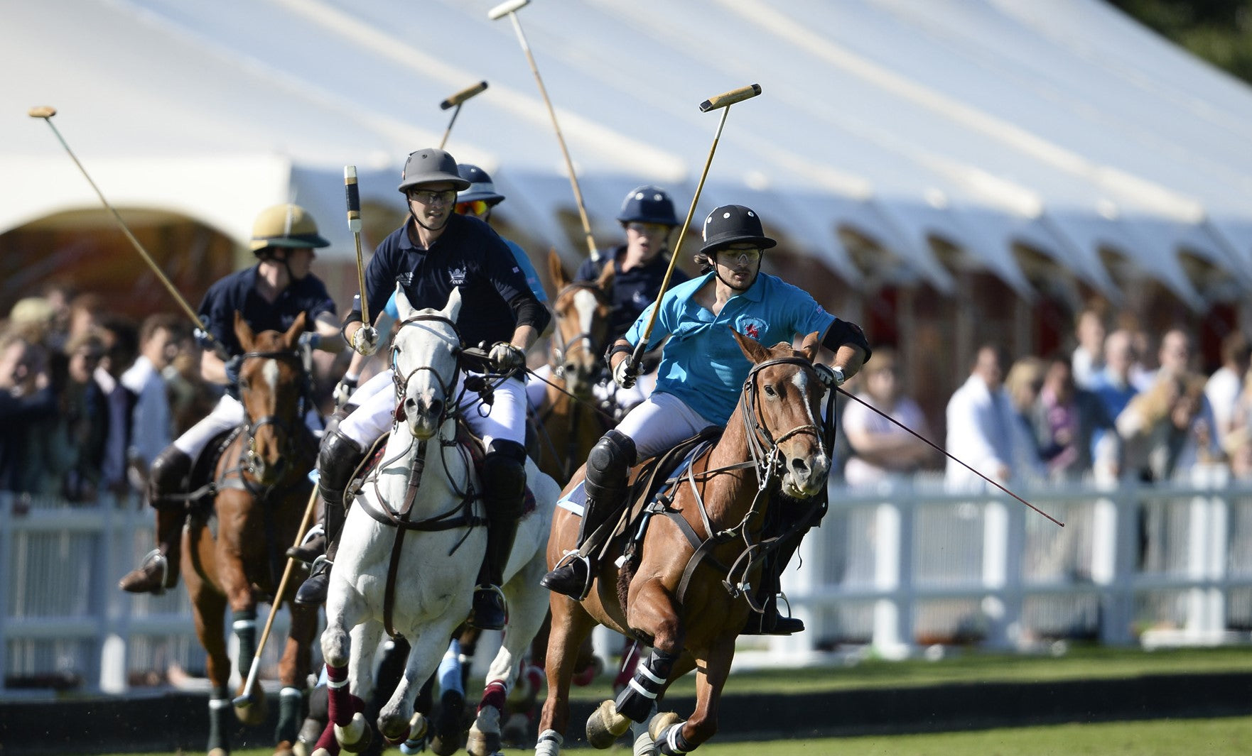 Polo. From sports to clothing culture